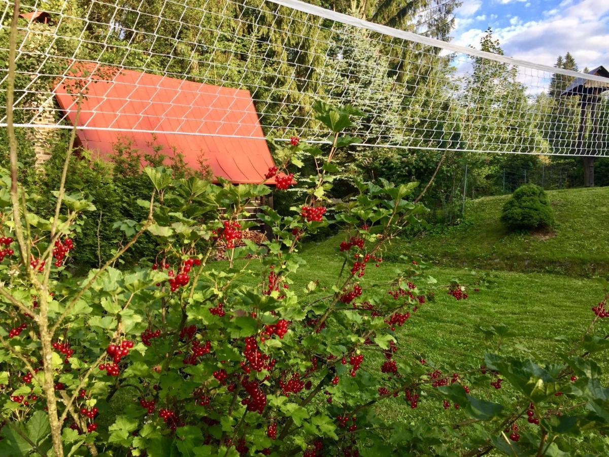 Chata Fortuna Dolní Lomná Exteriör bild